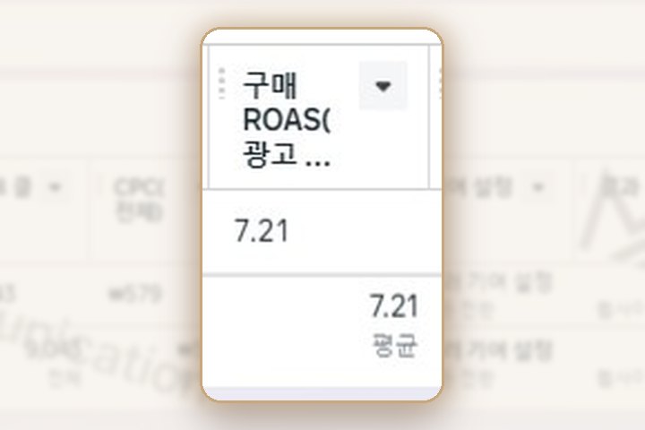 운동기구(홈트) 메타 광고 관리자 매출·ROAS 화면