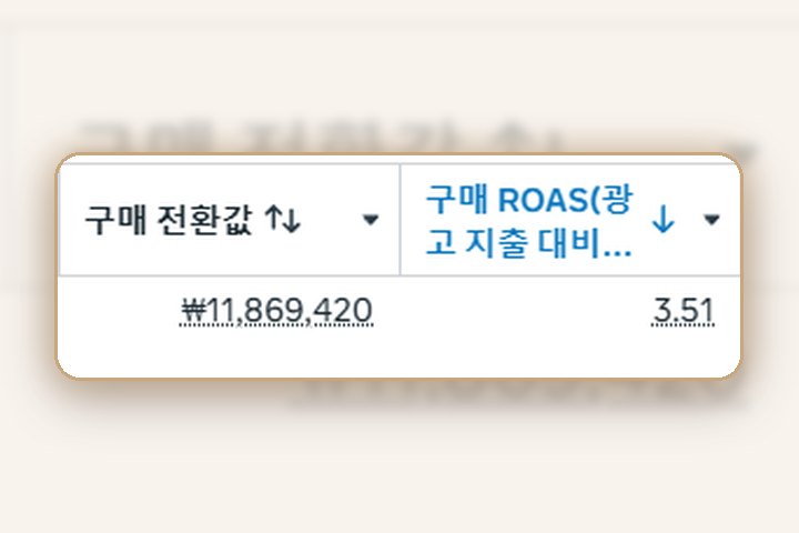 건기식 메타 광고 관리자 매출·ROAS 화면